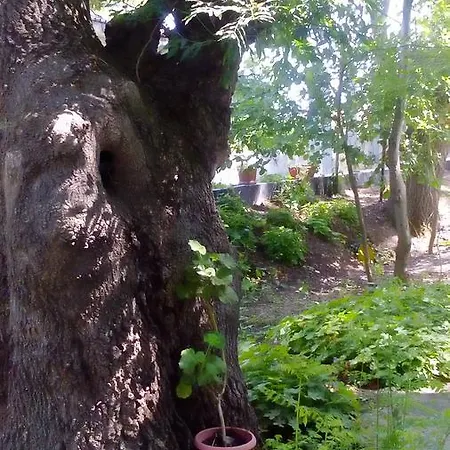 Lurd Family Hotel Lozenets