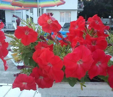 Hotell Lurd Family 2*