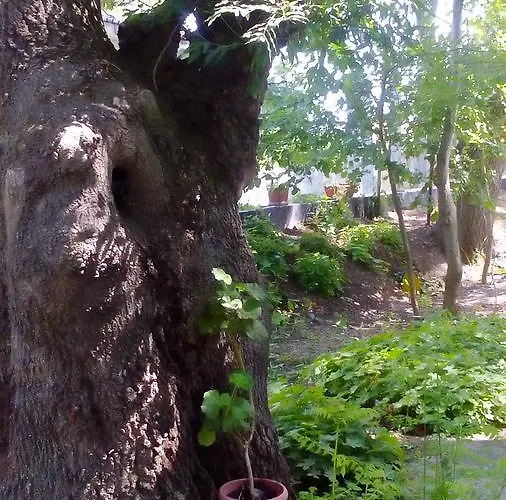 Lurd Family Hotel Lozeneț